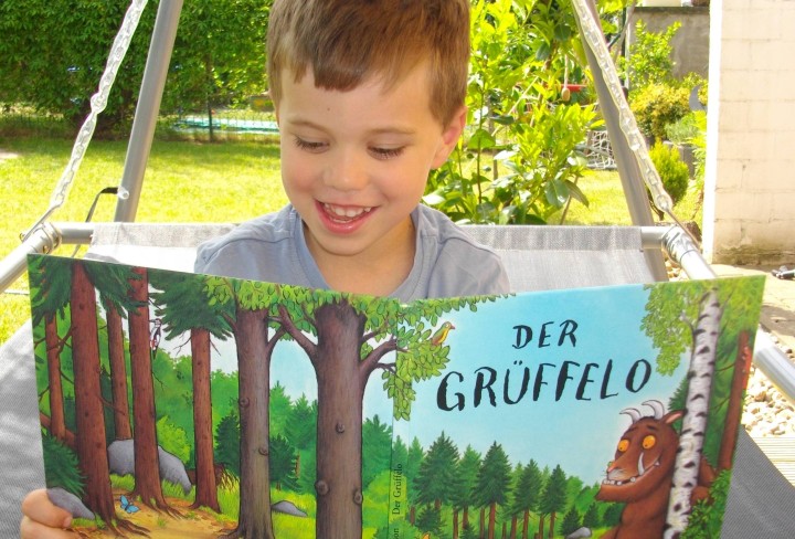 Junge liest im Bilderbuch Grüffelo