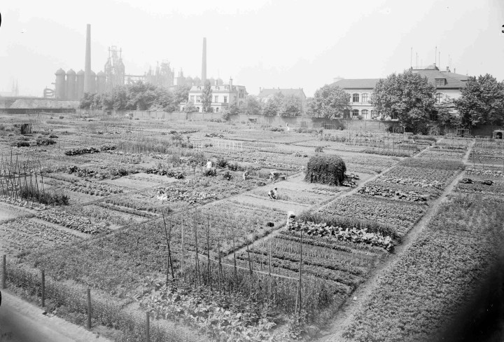 Historisches Schwarz-weiß-Foto von Ackergärten vor einer Industriekulisse