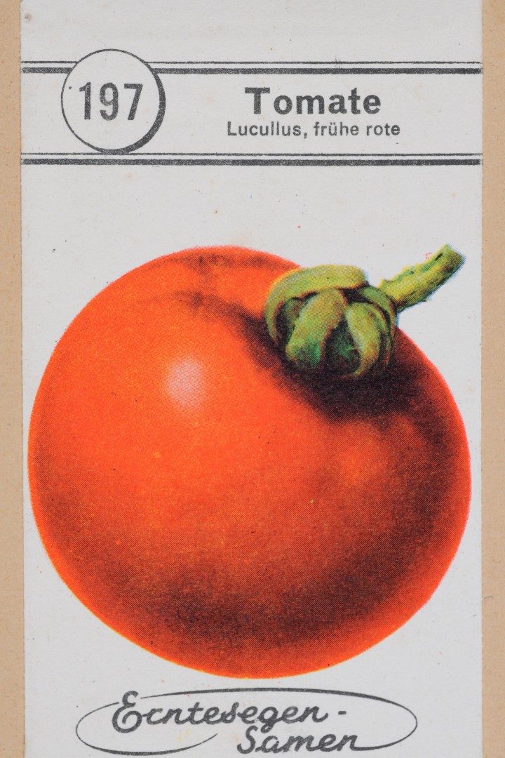 Foto zeigt ein Samentütchen für Tomaten um 1930
